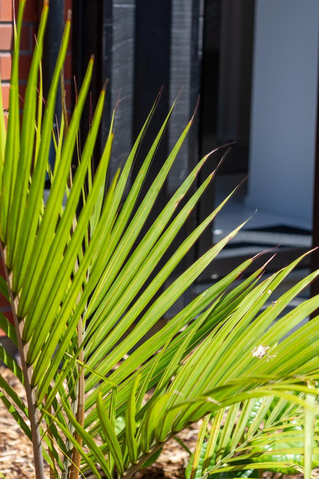 Conveniently Located 2Br Townhouse In West Akl Appartement Auckland Buitenkant foto